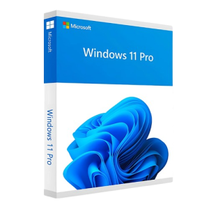 Windows 11 Pro_Al Safa img